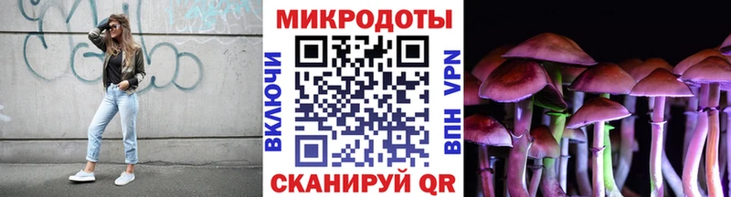 Галлюциногенные грибы Psilocybine cubensis  Белоярский 