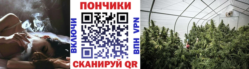 Бошки марихуана Bruce Banner  Белоярский 